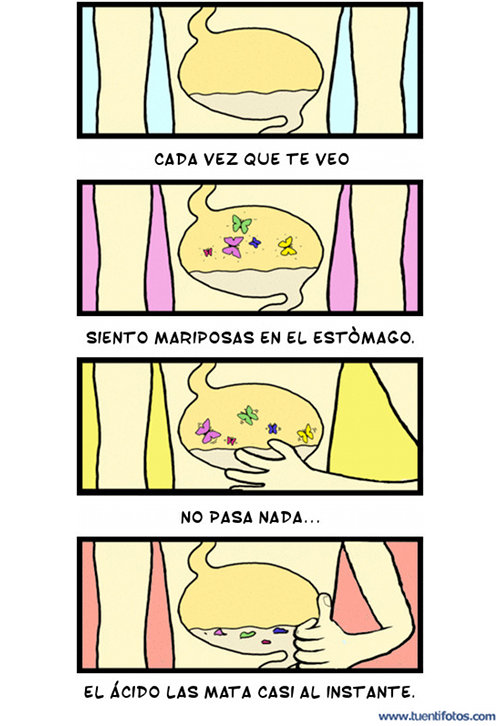 Mariposas En El Estómago