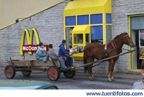 Curiosidades de Mc Carro