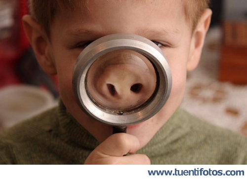 Curiosidades de Niño Cerdo