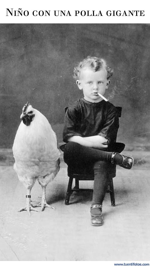 Curiosidades de Niño Con Una Polla Gigante