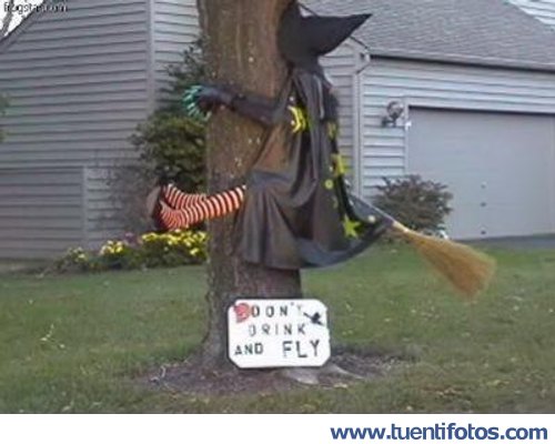 Putadas de No Bebas Y Vuelves