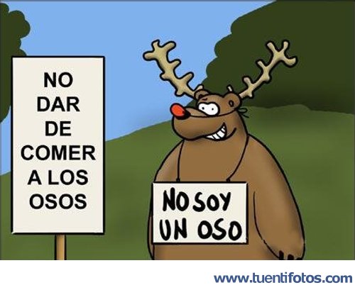 Animales de No Soy Un Oso