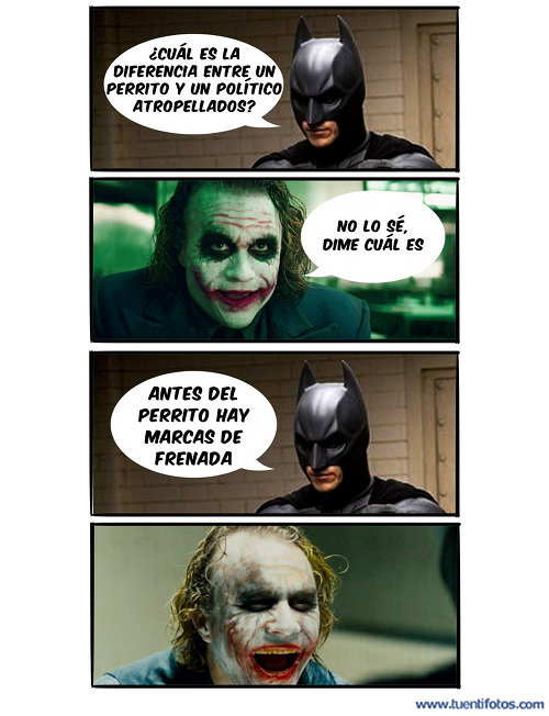 Perrito Y Político Atropellados