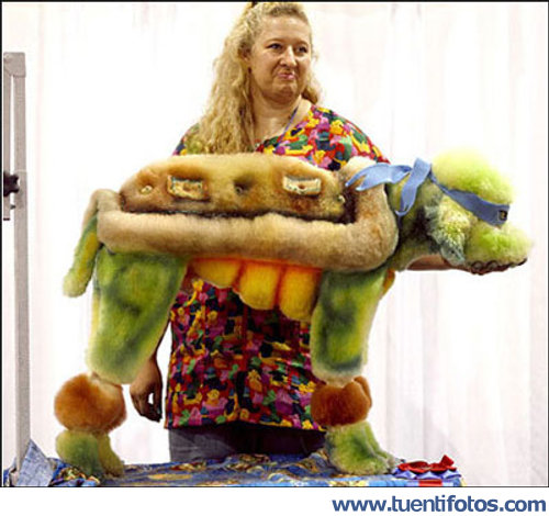 Animales de Perro Tortuga Ninja