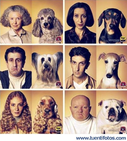 Parecidos de Perro Y Su Dueño