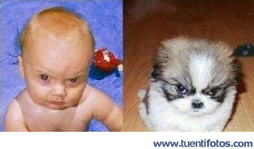 Parecidos de Que Estas Mirando