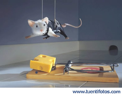 Animales de Ratón En Misión Imposible