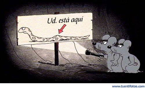 Ratones Desorientados