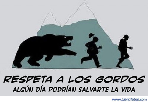 Respeta A Los Gordos