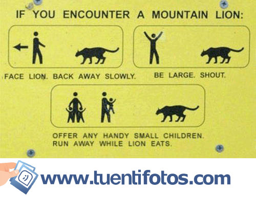 Señales de Si Te Encuentras Un León