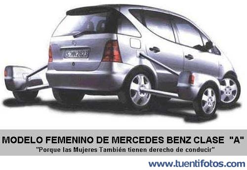 Tienen Derecho A Conducir