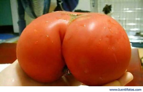 Curiosidades de Tomate Culon