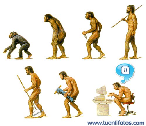 Chistes de Tuenti Evolución
