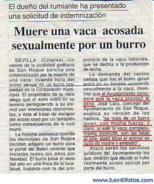 Textos de Vaca Acosada Por Un Burro