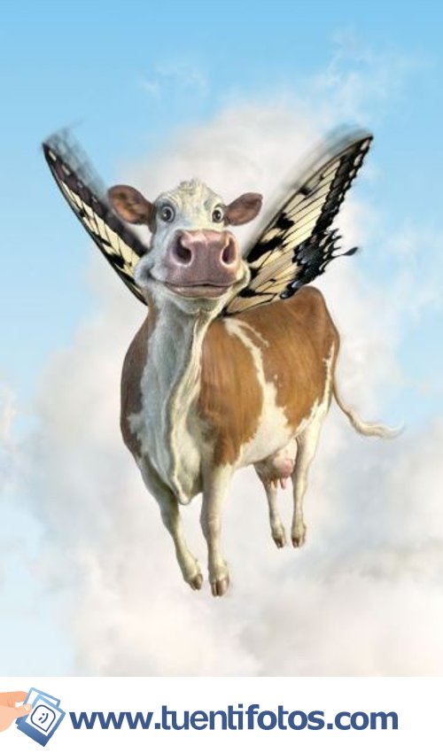 Animales de Vaca Voladora
