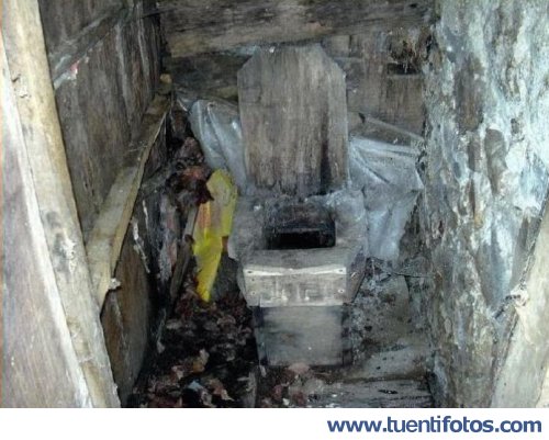 Curiosidades de Water De Lujo