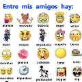 Miniatura de Entre mis amigos hay