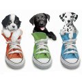 Miniatura de Perritos En Zapatos