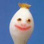 Miniatura de Cebollas enamoradas