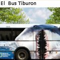 Miniatura de El Bus Tiburon