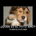 Miniatura de Quien Es El Puto Amo