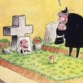 Miniatura de Todo No Ha Muerto