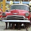 Miniatura de Coche De Tracción Humana