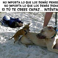 Miniatura de Crees Capaz Intentalo