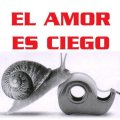 Miniatura de El Amor Es Ciego