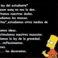 Miniatura de Ley Del Estudiante Por Bart