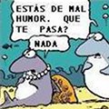 Miniatura de Pareja De Peces