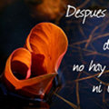 Miniatura de Después De Ti No Hay Nada