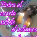 Miniatura de Entra al Cuarto