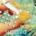 Miniatura de Me Quiere No Me Quiere