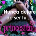 Miniatura de Nunca Dejaré De Ser Tu Princesita