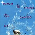 Miniatura de Nunca Te Rindas en Tus Sueñ