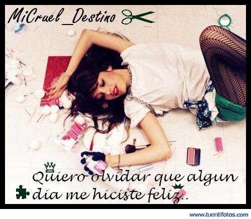 Amor de Algún Día Me Hiciste Feliz