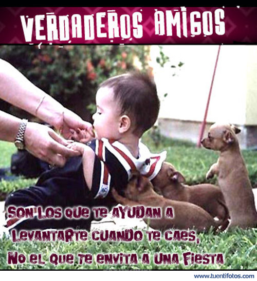 Amigos Te Ayudan A Levantarte