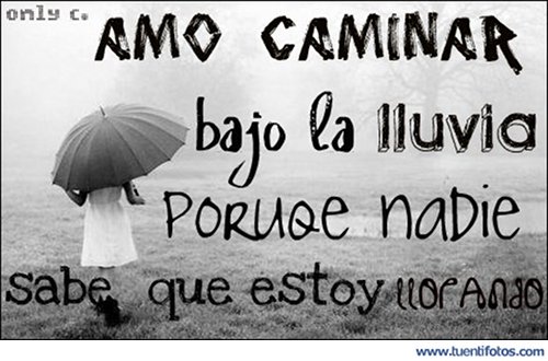 Frases de Amo Caminar Bajo La Lluvia