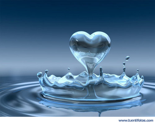 Amor de Corazon de Agua