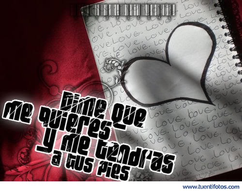 Amor de Dime Que Me Quieres