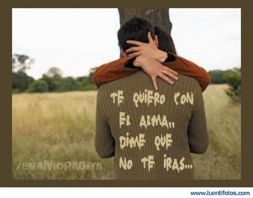 Amor de Dime Que No Te Iras