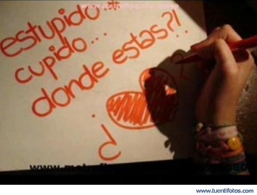 Frases de Estupido Cupido