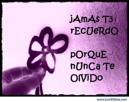 Amor de Jamas Te Recuerdo