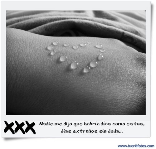 Frases de Nadie Me Dijo Que Habría