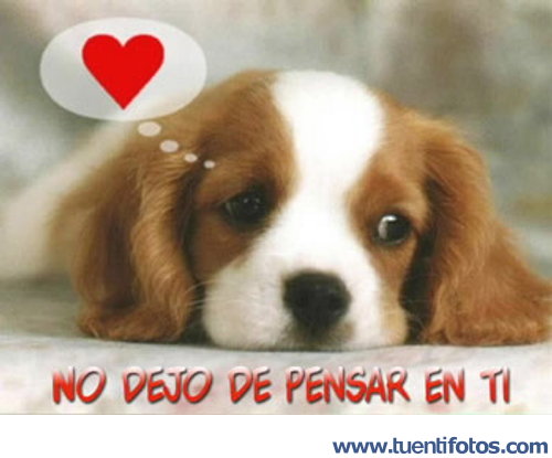 Amor de No Dejo De Pensar En Ti