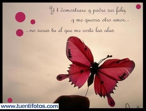 Desamor de No Me Cortaras las Alas