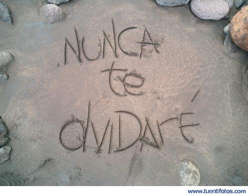 Frases de Nunca Te Olvidaré