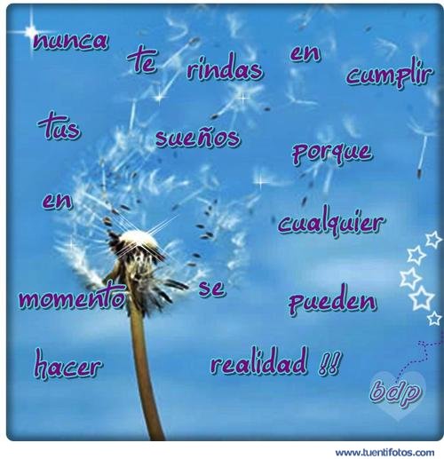 Frases de Nunca Te Rindas en Tus Sueñ
