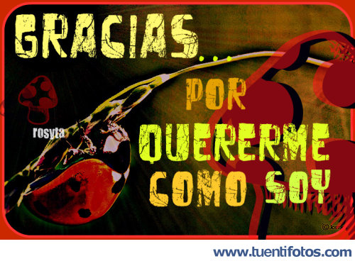 Frases de Quererme Como Soy